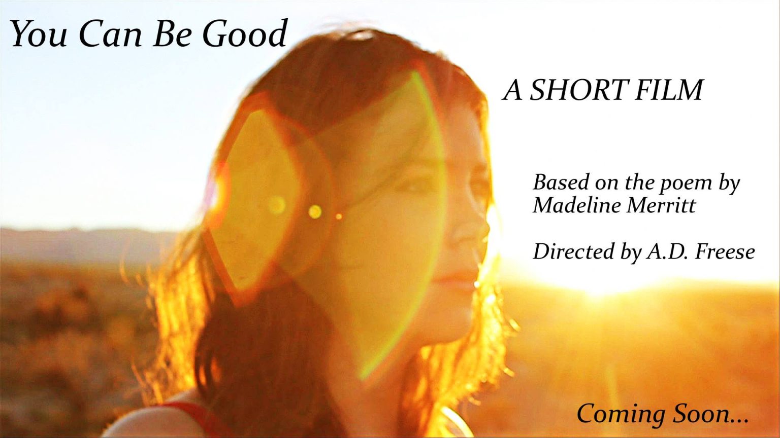 The Pledge: Month 11- Rinse and Repeat