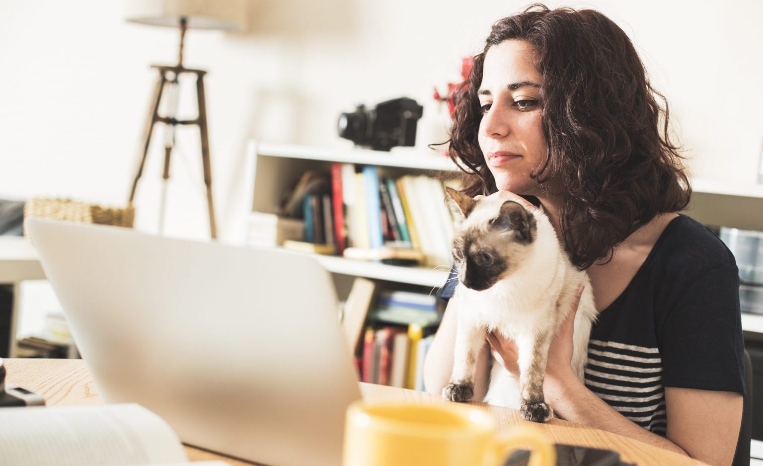 Transitioning From Working At An Office, To Working From Home