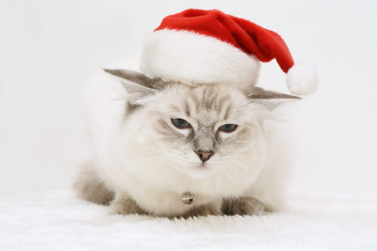 Bah Humbug. I Hate Christmas Movies