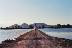 The Path You Are On