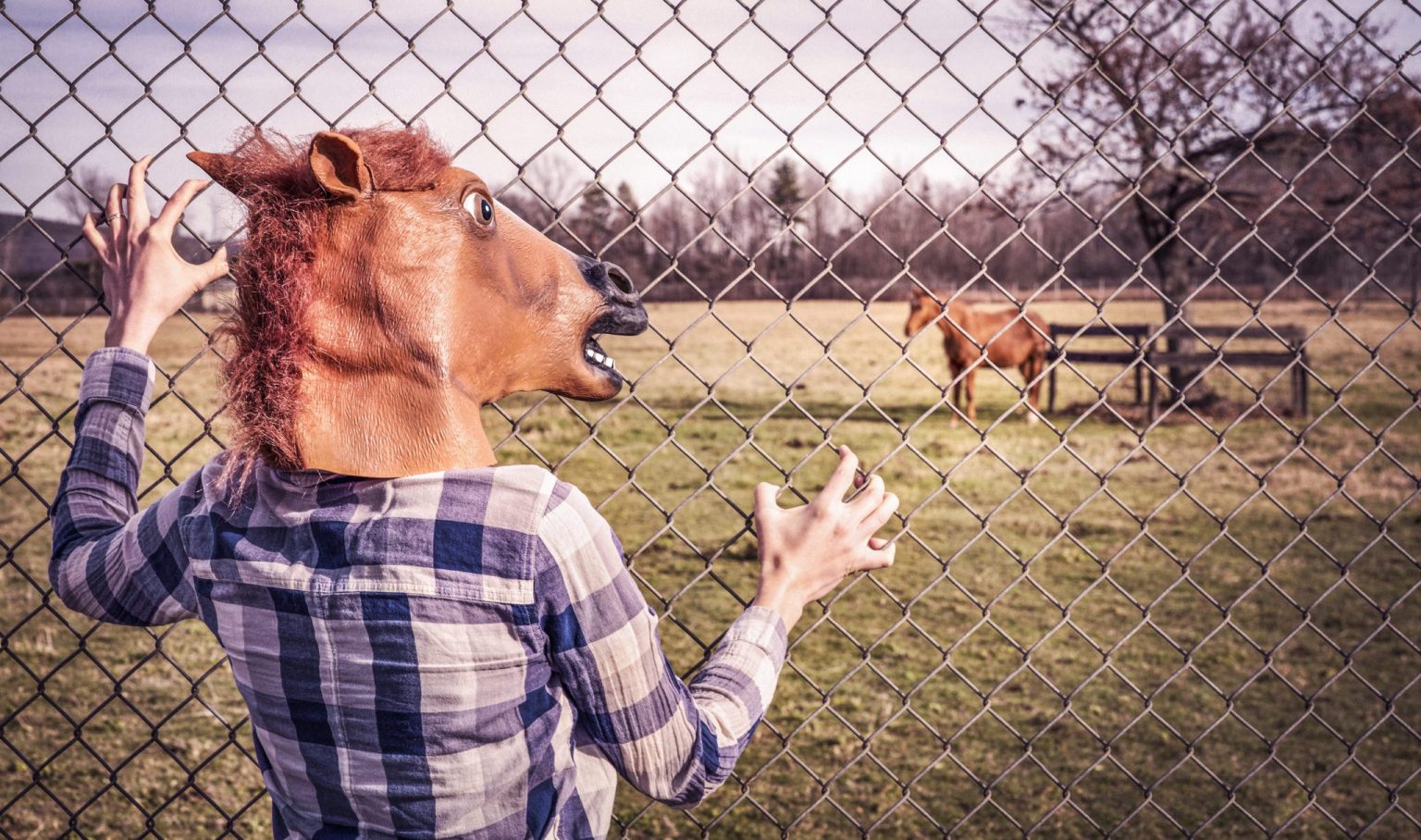 Coffee Chats: Let’s Talk Branding Coffee Chats: Let’s Talk Branding