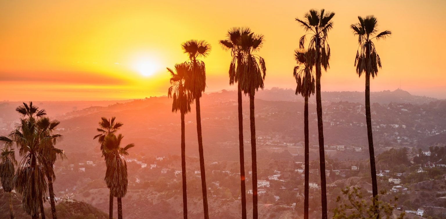 How to Survive Los Angeles Survive Los Angeles