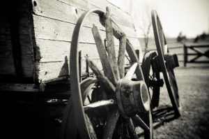 life wagon