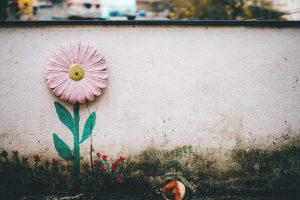 female artists