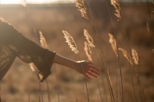 Faith and Filmmaking