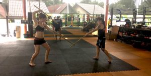 The Life of a Professional Stunt Woman: Professional Development