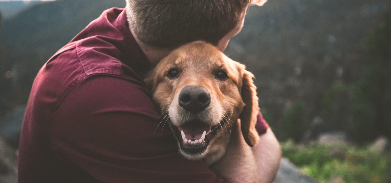 Neglect, Abuse and Death: The Dark Reality of Animals on Set