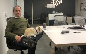 Changes in Indie Film Distribution: A Conversation with Film Aggregator – BITMAX