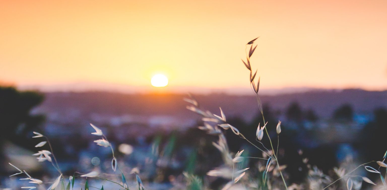 Mental Health Resources for this hard time, and Pausing Publication